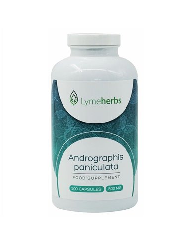Andrographis paniculata 500 mg, 500 kapsułek